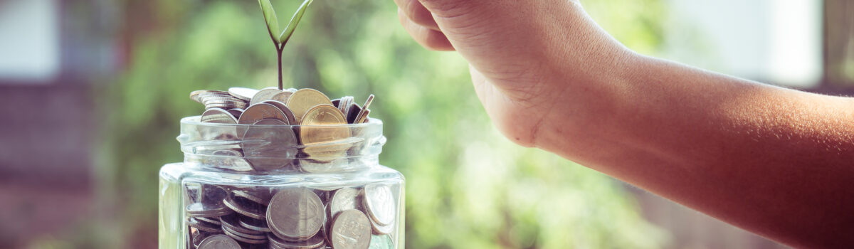 Potje met geld en plantje eruit