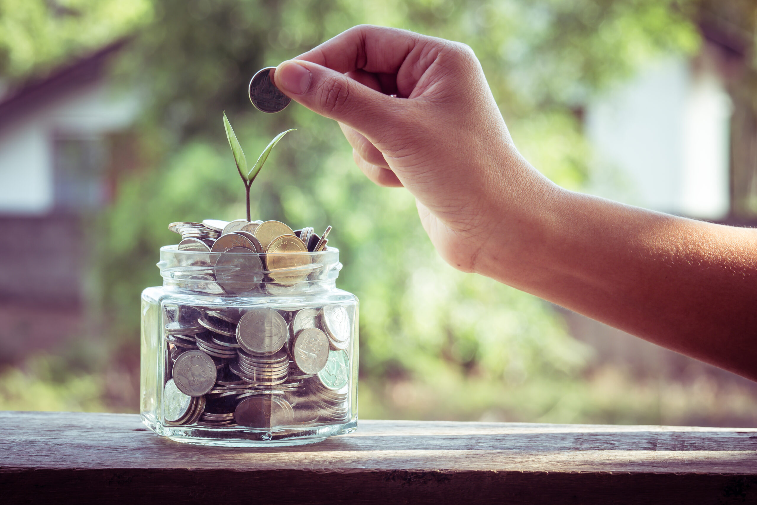 Potje met geld en plantje eruit